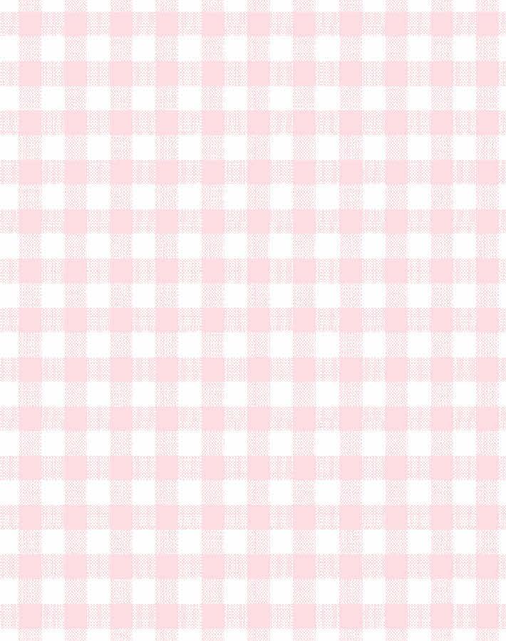 'Barbie™ Gingham' Wallpaper by Barbie™ - Ballet Slipper