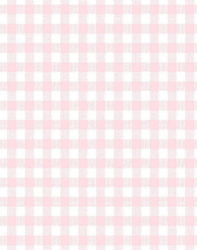 'Barbie™ Gingham' Wallpaper by Barbie™ - Ballet Slipper