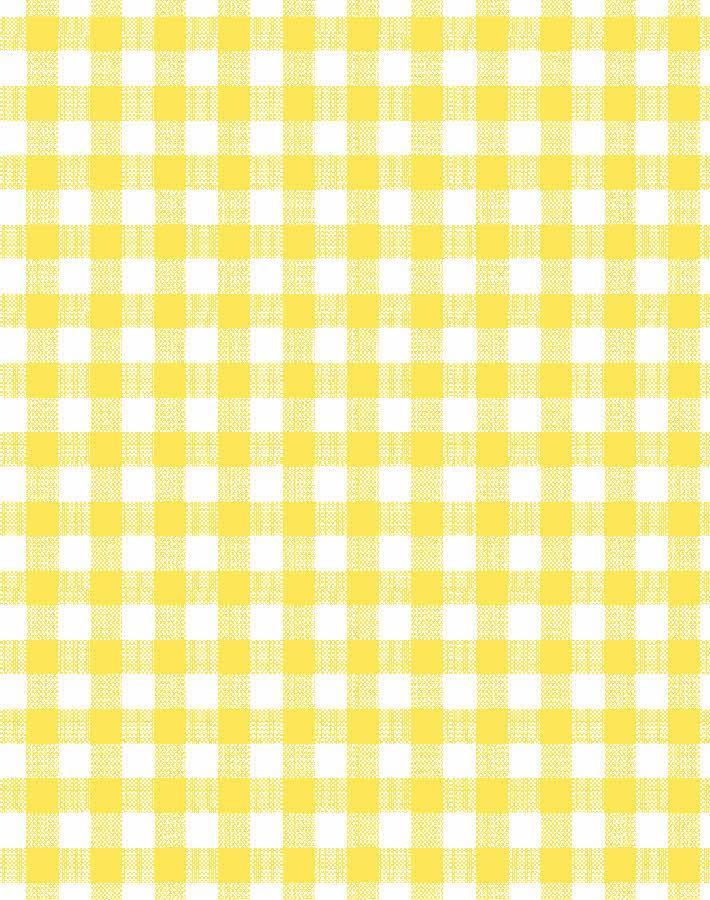 barbie-gingham-wallpaper-by-barbie-daffodil