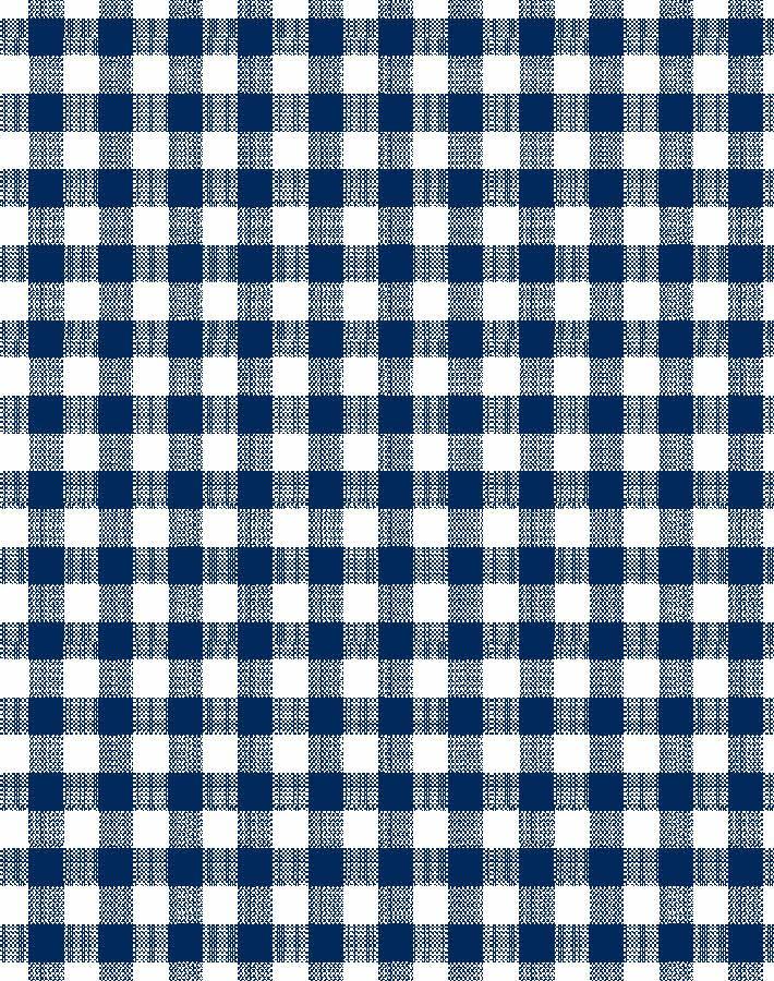 barbie-gingham-wallpaper-by-barbie-navy