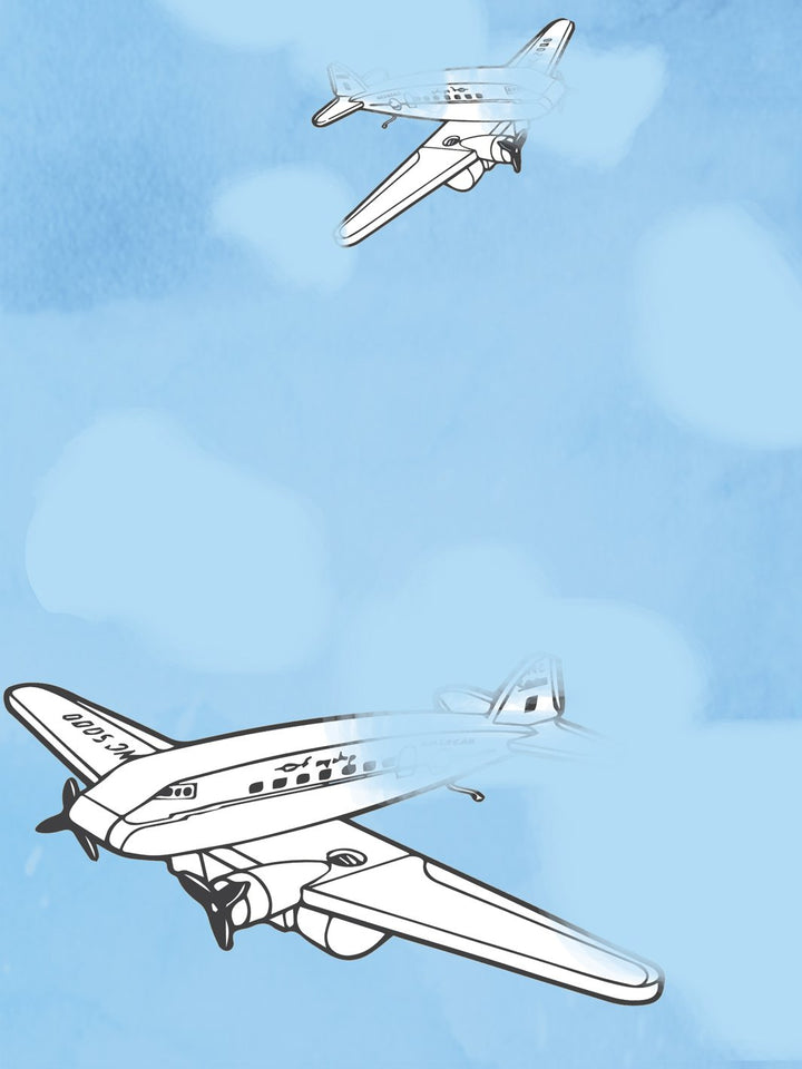 airplanes-wallpaper-by-fisher-price-white