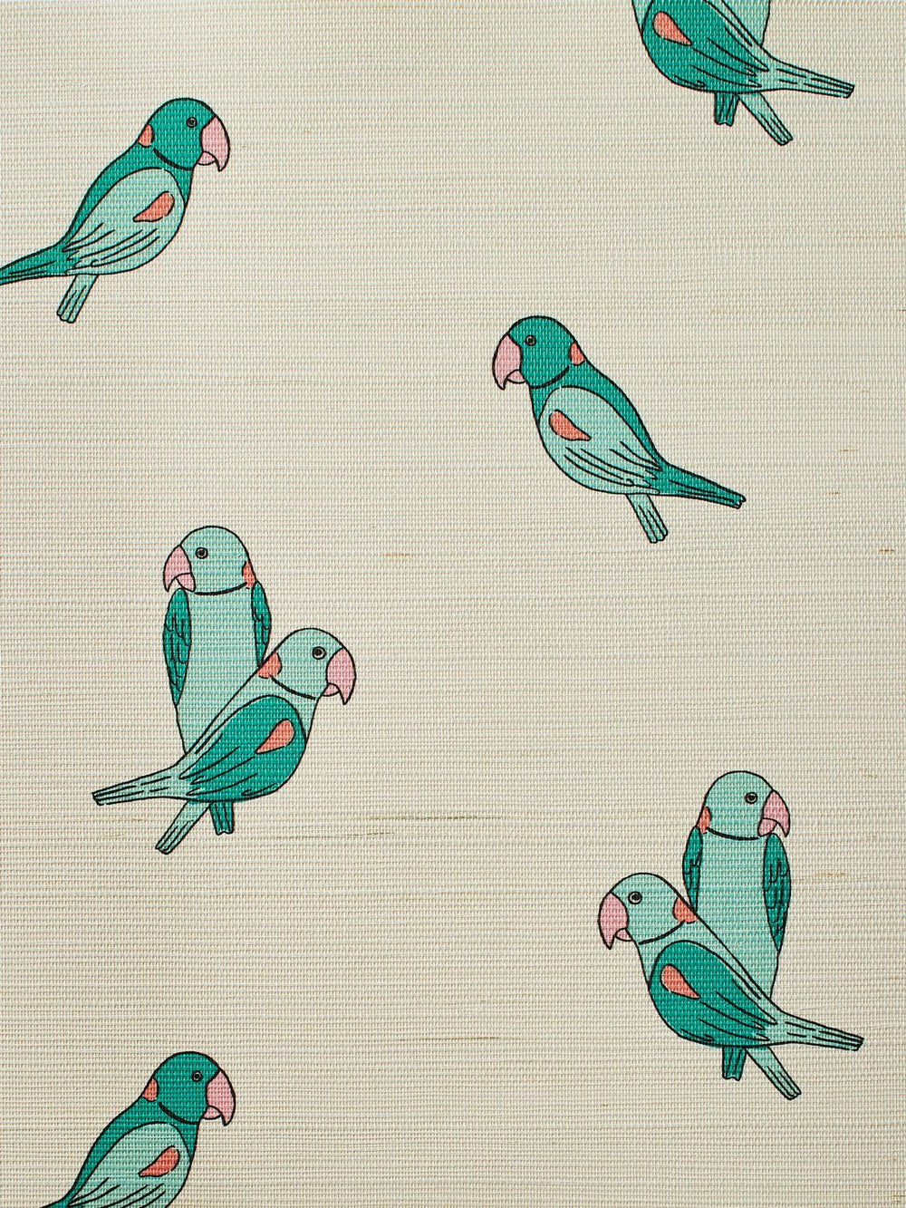 alexandrine parakeet small grasscloth