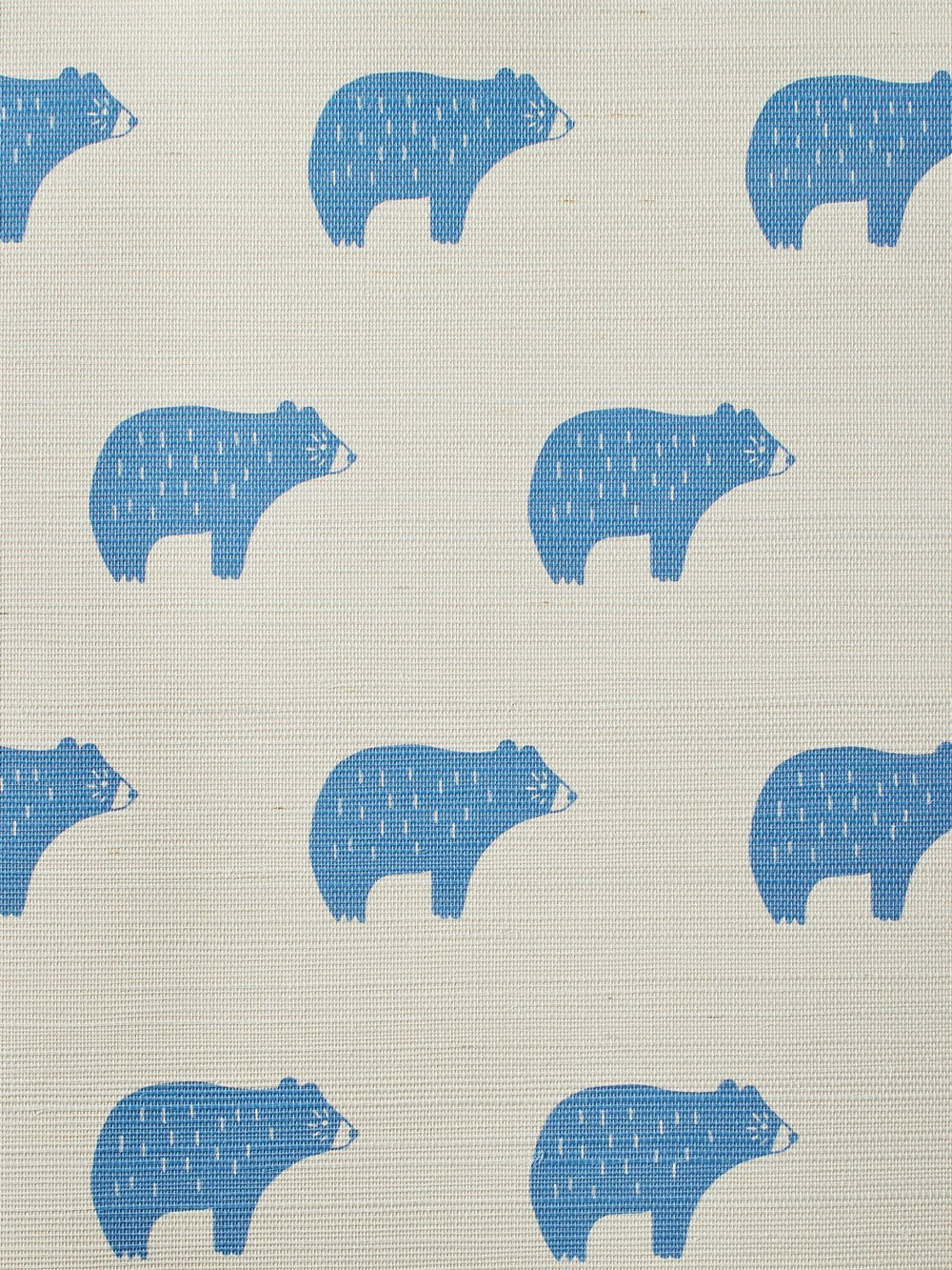 chubby bear cerulean grasscloth