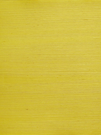 'Solid Grasscloth' Wallpaper by Wallshoppe - Yellow