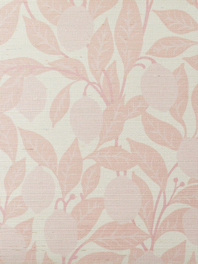 'Lemons' Grasscloth' Wallpaper by Nathan Turner - Pink