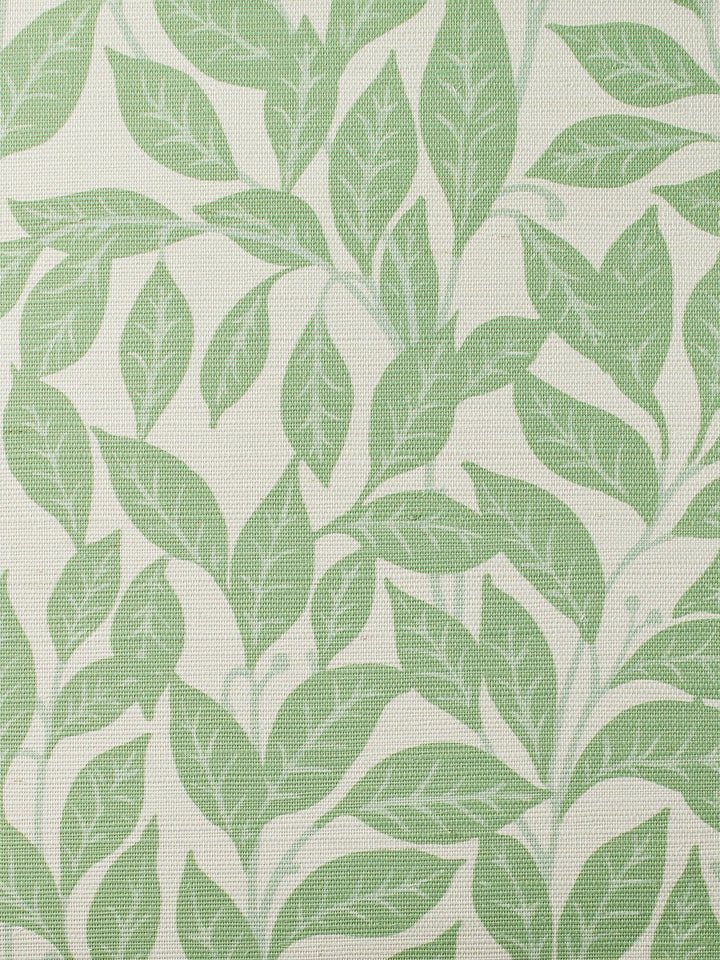 orchard leaves spring green grasscloth
