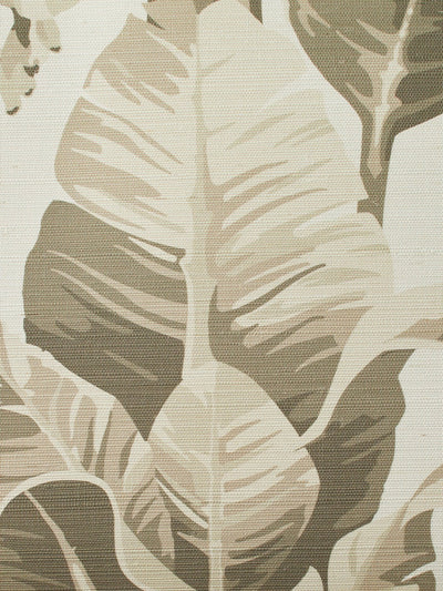 'Pacifico Palm' Grasscloth' Wallpaper by Nathan Turner - Cappucino