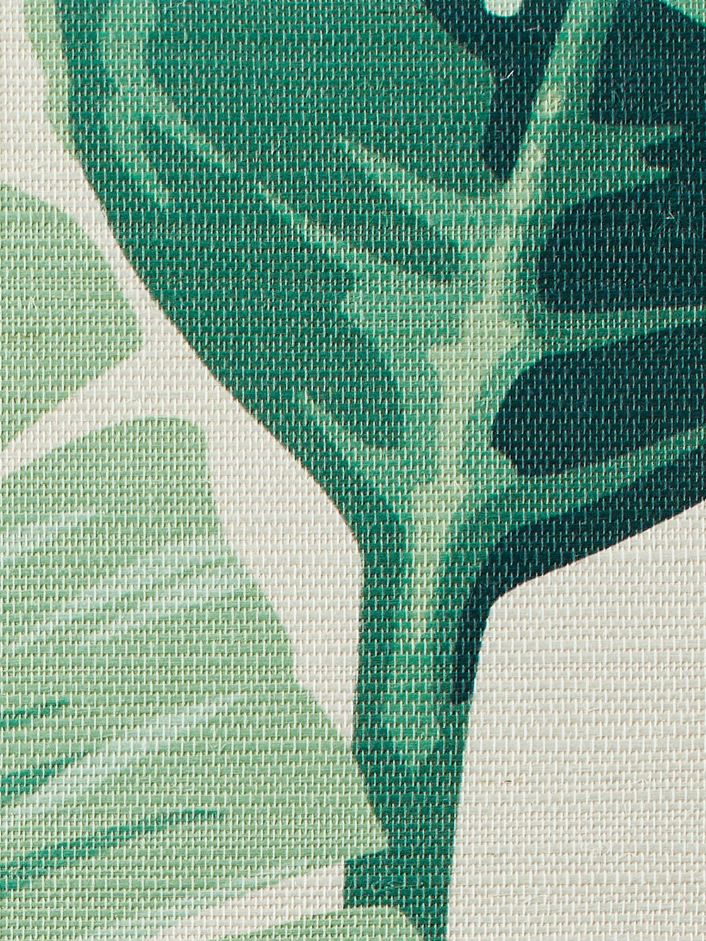 pacifico palm ivory grasscloth