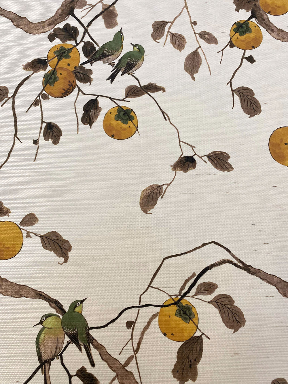 persimmon birds grasscloth wallpaper by nathan turner mustard