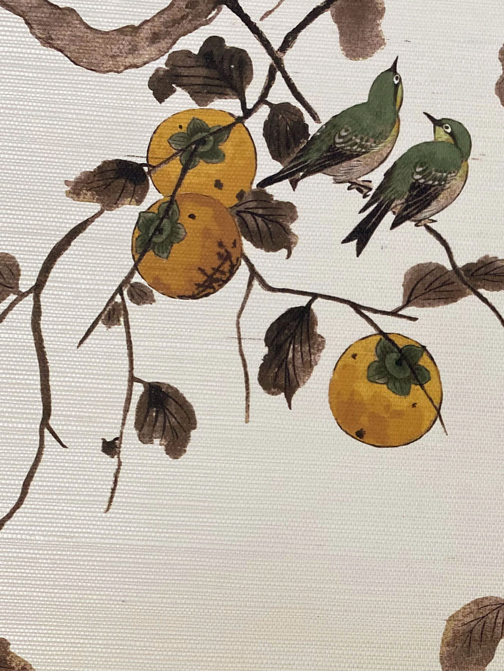 persimmon birds grasscloth wallpaper by nathan turner mustard