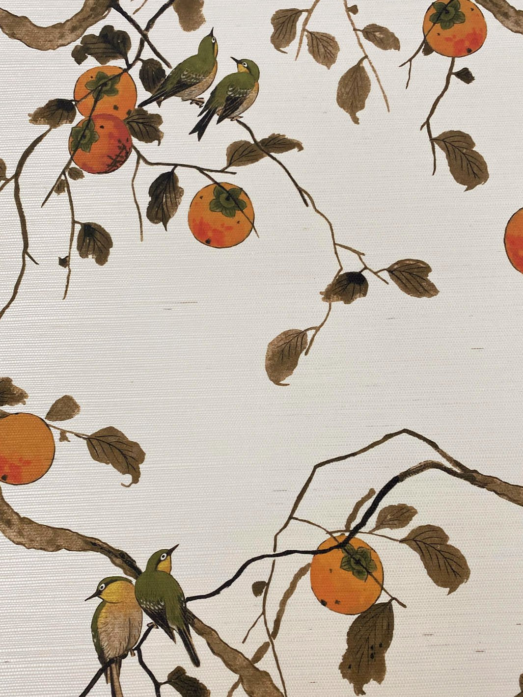 persimmon birds grasscloth wallpaper by nathan turner persimmon