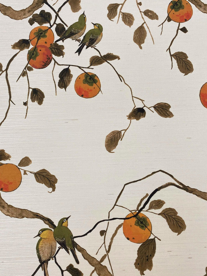 persimmon birds grasscloth wallpaper by nathan turner persimmon