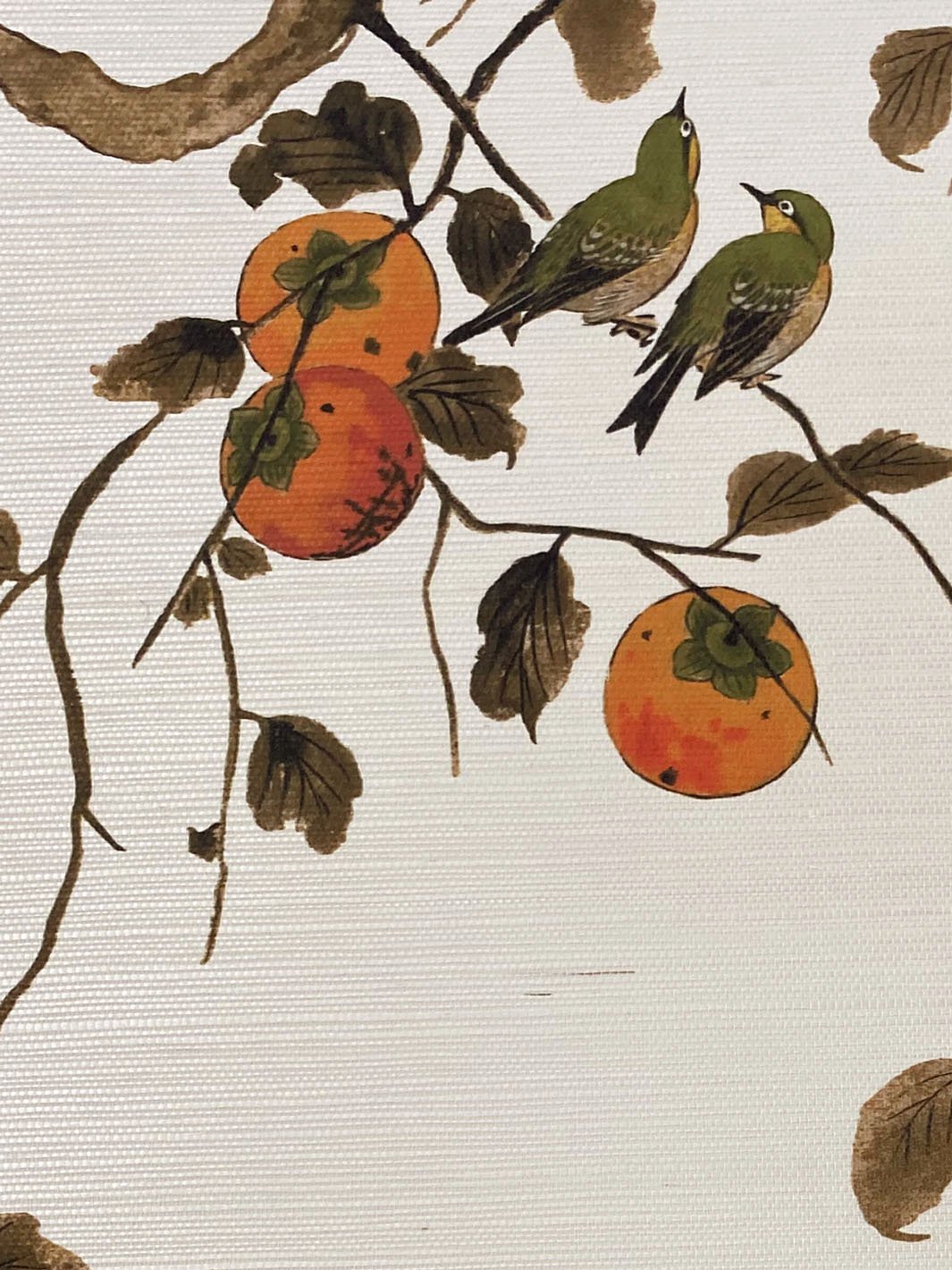 persimmon birds grasscloth wallpaper by nathan turner persimmon