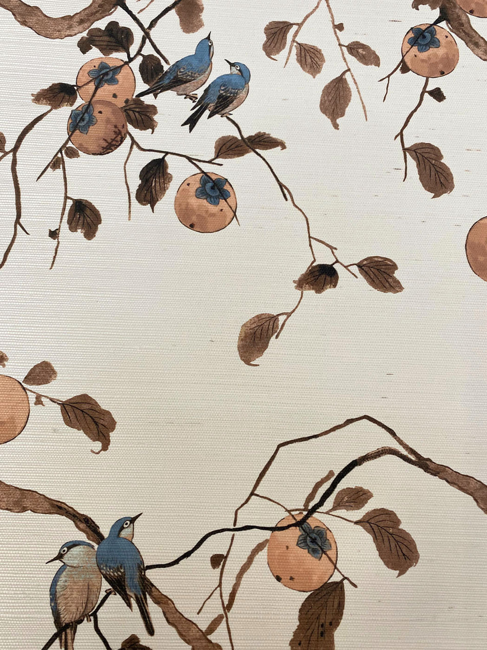 persimmon birds grasscloth wallpaper by nathan turner washed sienna