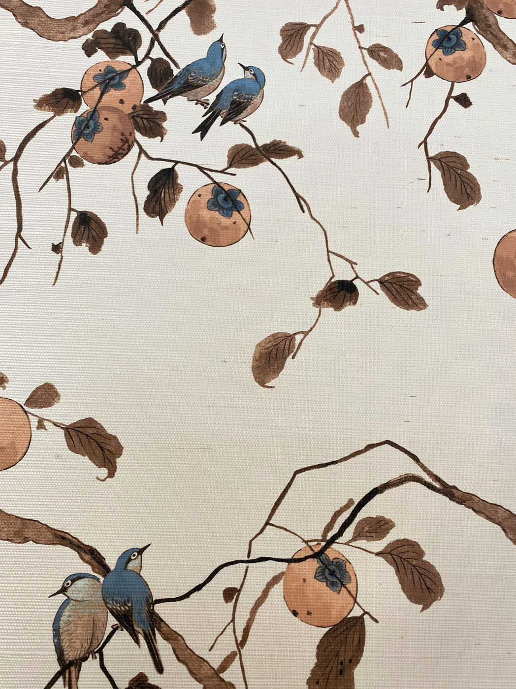 persimmon birds grasscloth wallpaper by nathan turner washed sienna