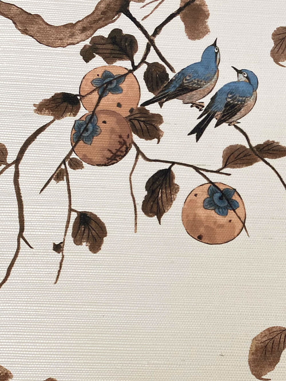 persimmon birds grasscloth wallpaper by nathan turner washed sienna
