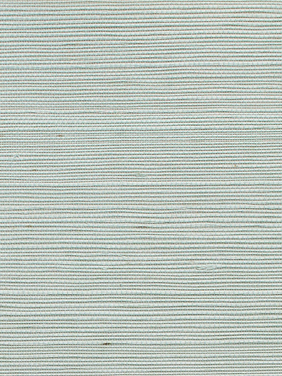 'Solid Grasscloth' Wallpaper by Wallshoppe - Sky