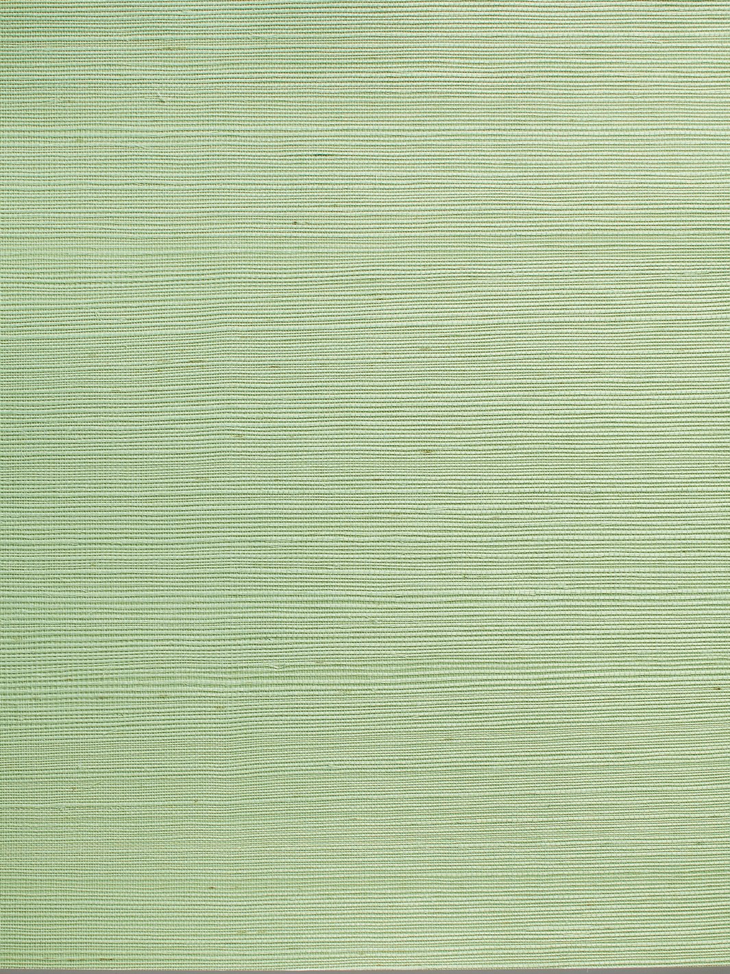 'Solid Grasscloth' Wallpaper by Wallshoppe - Spring Green