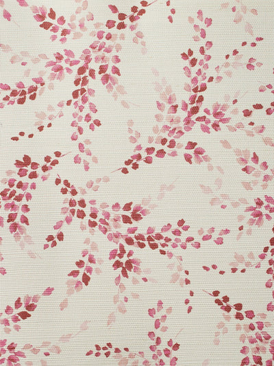 sweet caroline rose grasscloth
