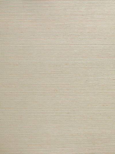 'Solid Grasscloth' Wallpaper by Wallshoppe - Gray