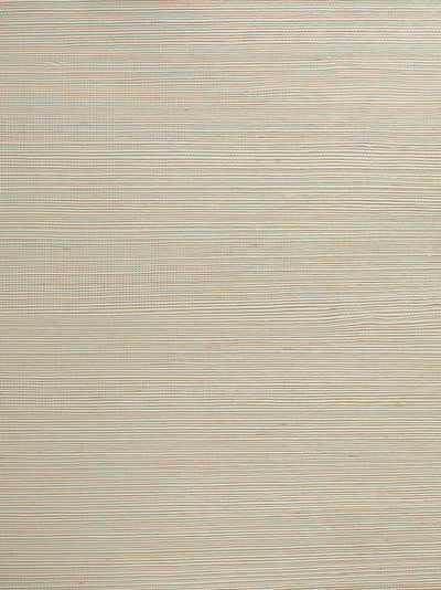 'Solid Grasscloth' Wallpaper by Wallshoppe - Natural