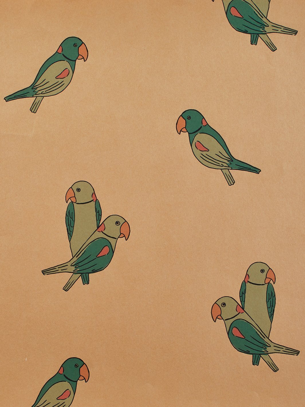 'Alexandrine Parakeet' Kraft' Wallpaper by Tea Collection