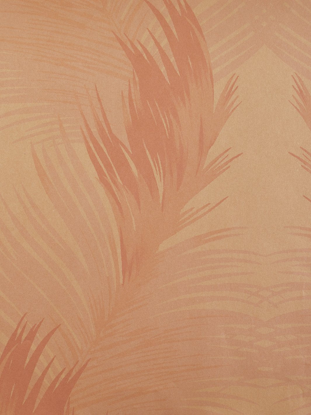 'Belafonte Palm' Kraft' Wallpaper by Nathan Turner - Pink