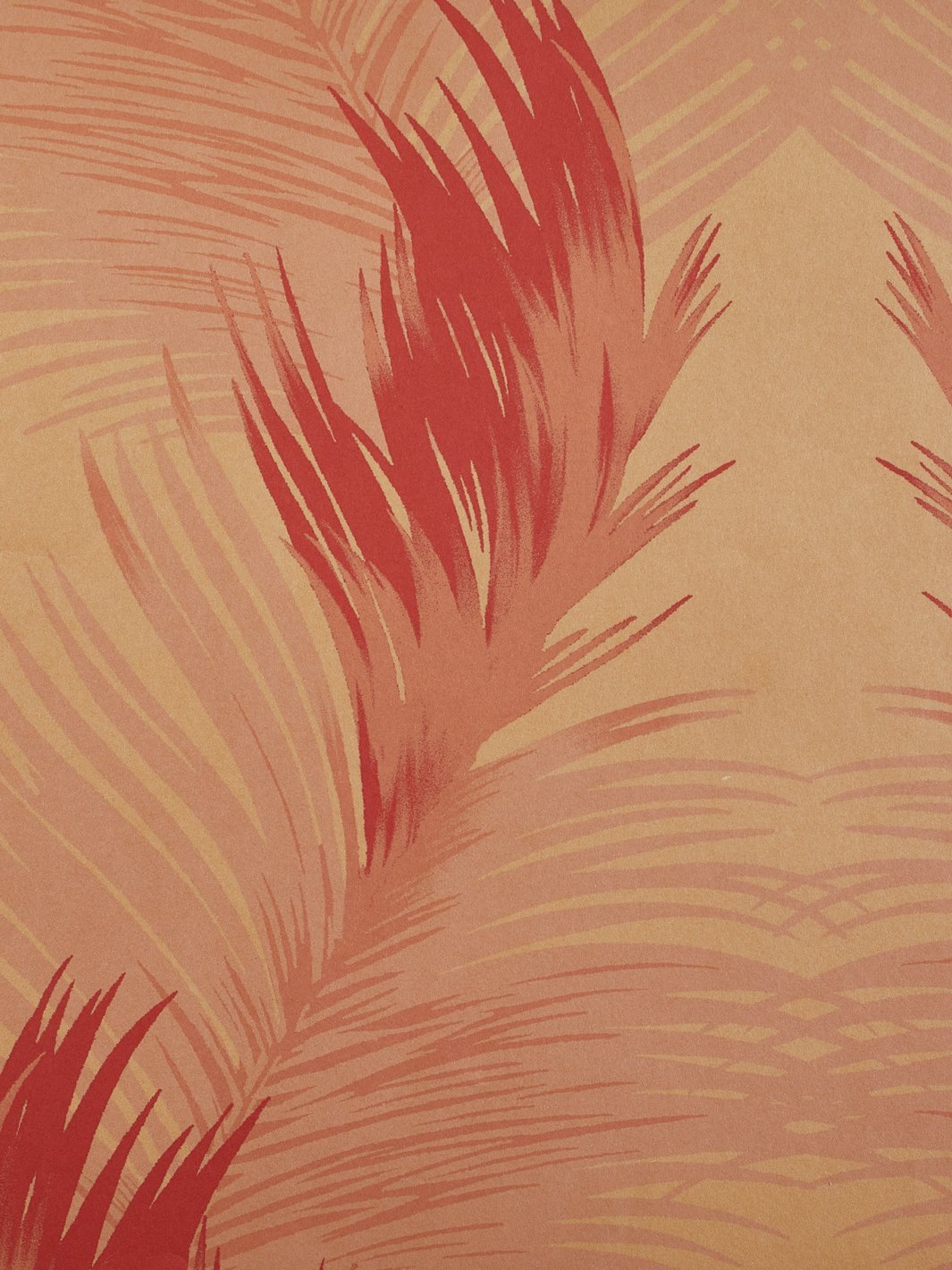 belafonte palm kraft wallpaper by nathan turner red