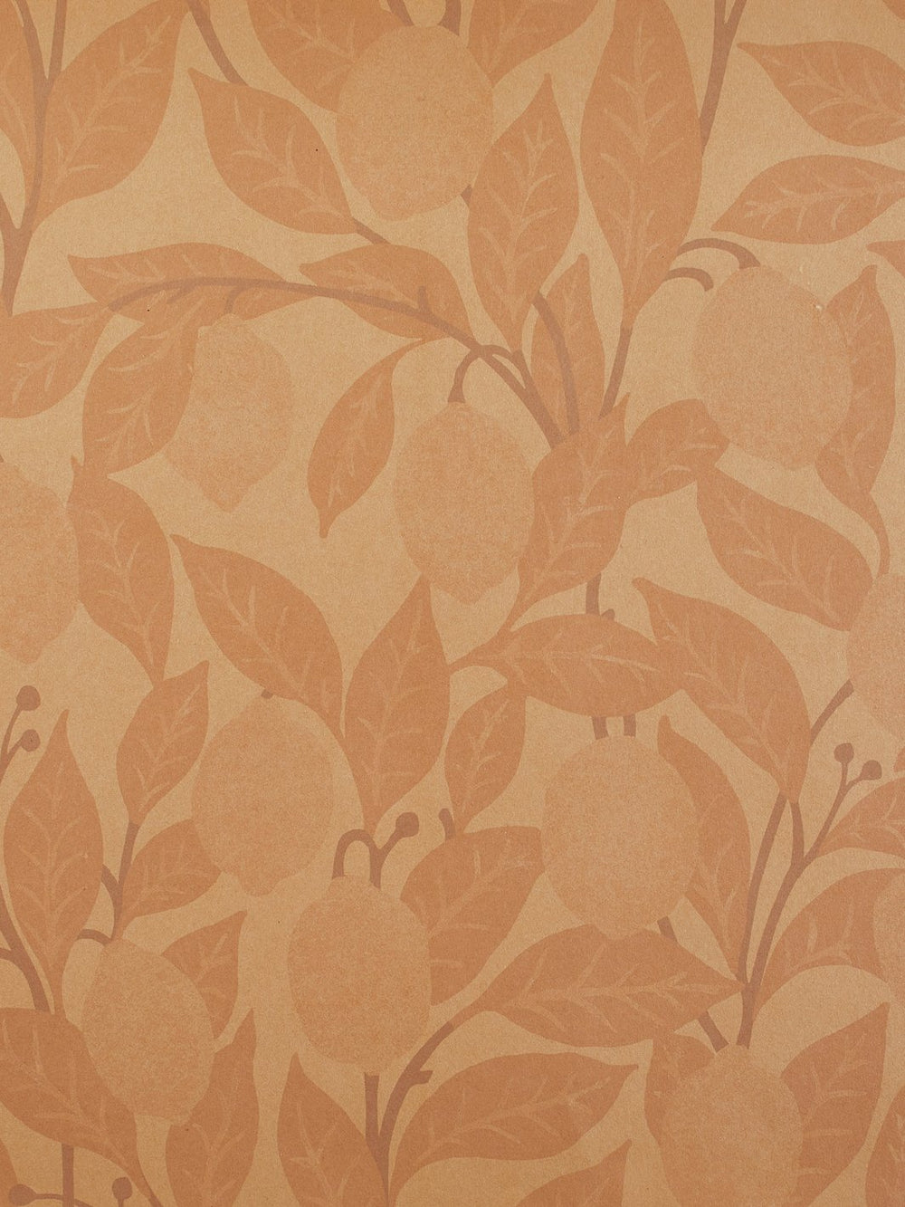 lemons kraft wallpaper by nathan turner blush