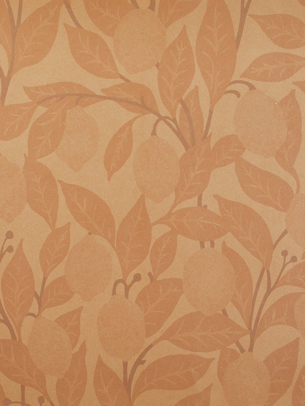 lemons kraft wallpaper by nathan turner blush