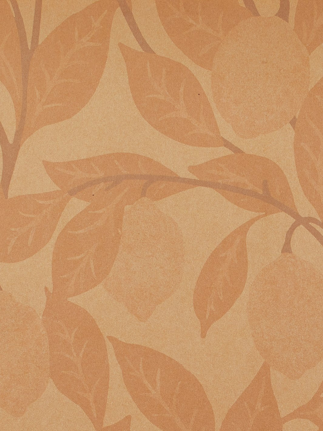 lemons kraft wallpaper by nathan turner blush