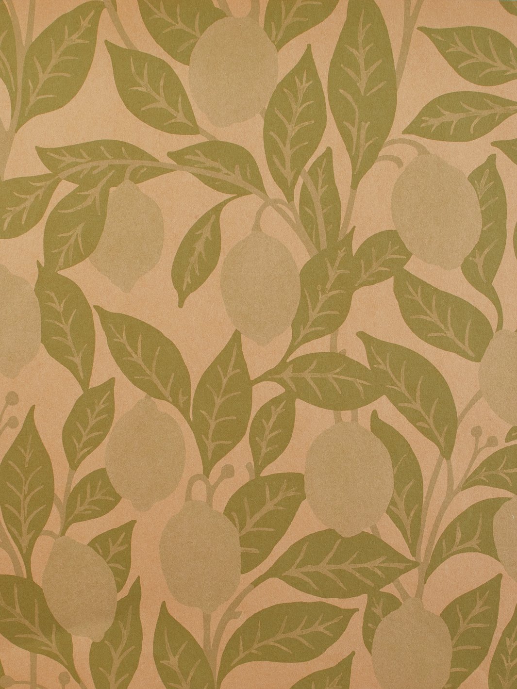 lemons kraft wallpaper by nathan turner green
