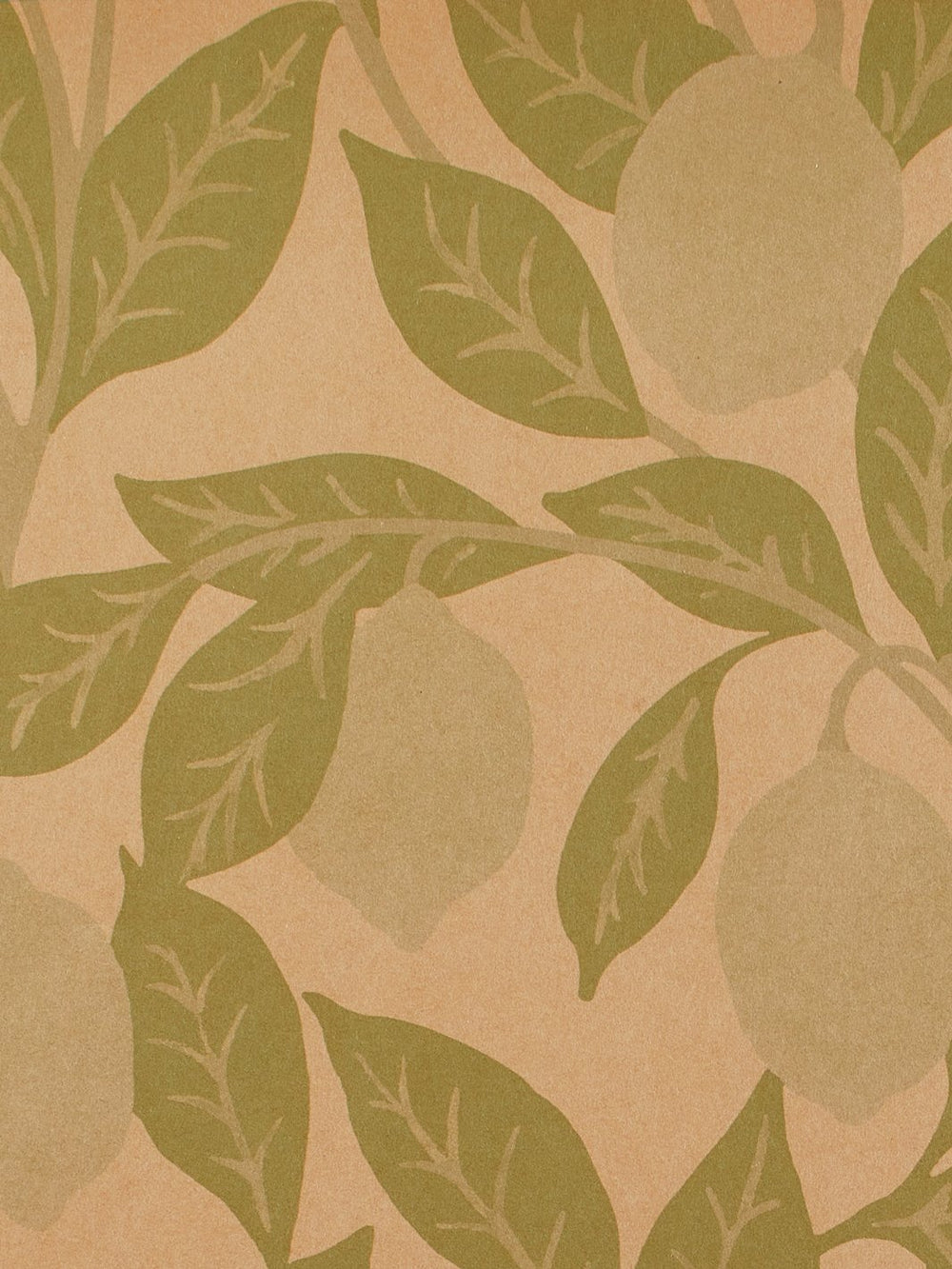 lemons kraft wallpaper by nathan turner green