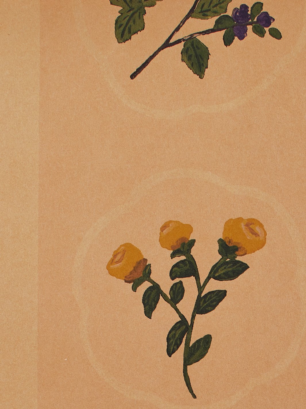 montaigne stripe kraft wallpaper by carly beck peach