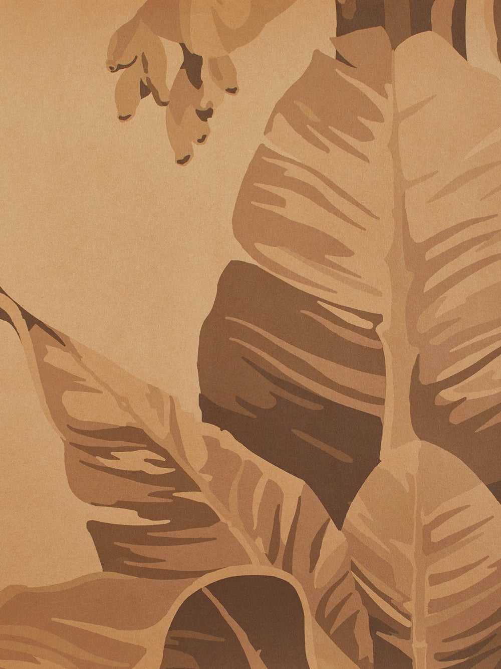 pacifico palm kraft wallpaper by nathan turner cappuccino