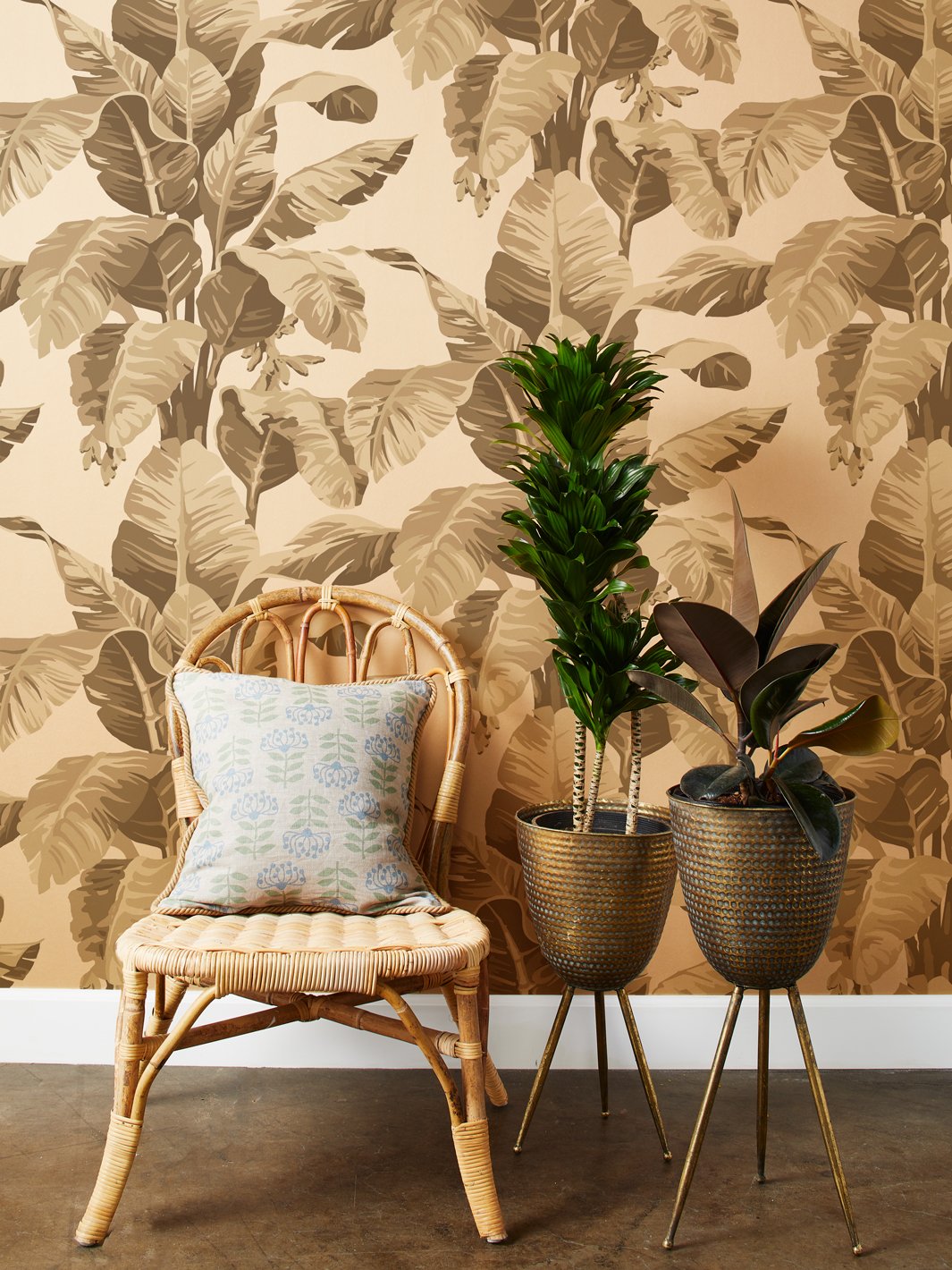 'Pacifico Palm' Kraft' Wallpaper by Nathan Turner - Cappuccino