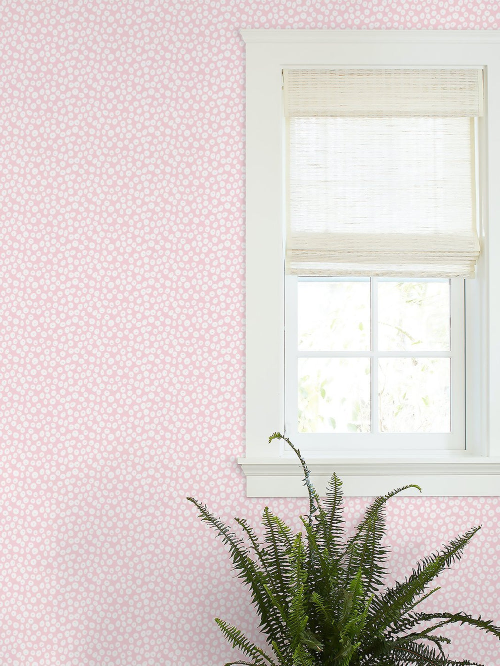 parade-dots-wallpaper-by-barbie-pink