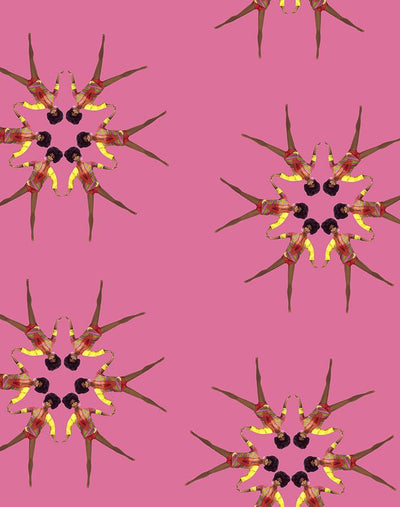 synchronized vintage christie wallpaper by barbie berry