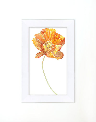 'Watercolor Poppy' Framed Art by Nathan Turner