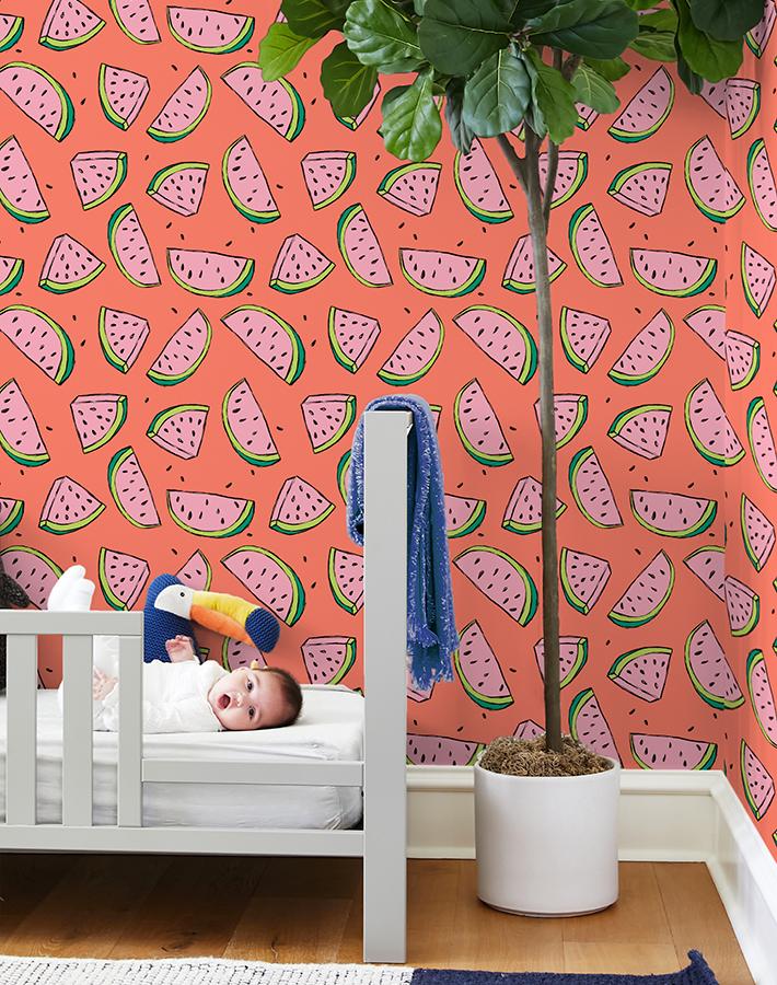 watermelon-watermelon