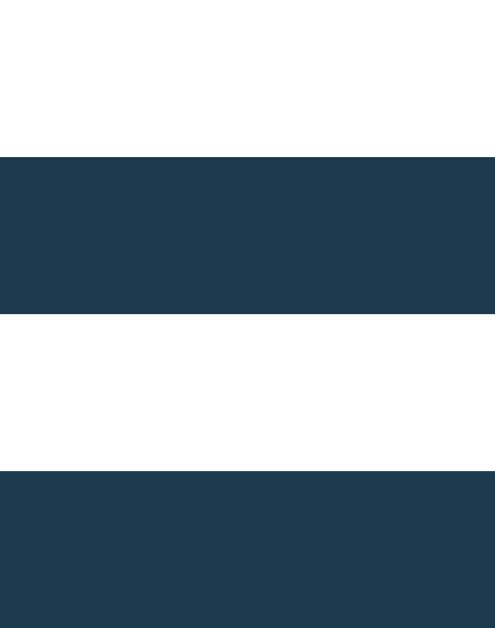 rugby stripe navy