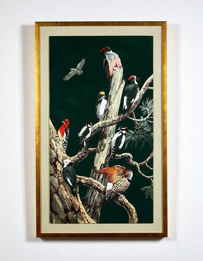 Artshoppe Woodland Birds 1 by Nathan Turner - Framed Wall Art | Art by Wallshoppe