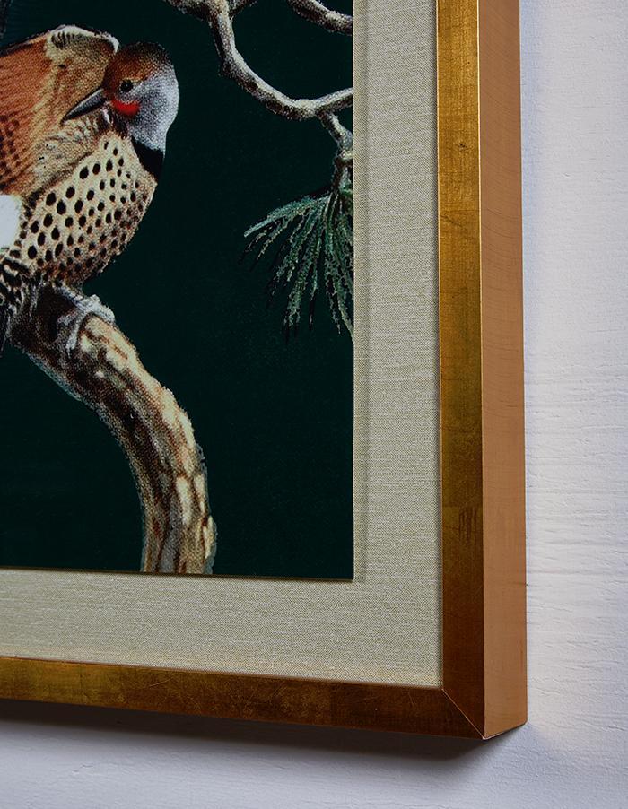 Artshoppe Woodland Birds 1 by Nathan Turner - Framed Wall Art | Art by Wallshoppe
