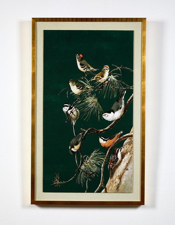 Artshoppe Woodland Birds 2 by Nathan Turner - Framed Wall Art | Art by Wallshoppe