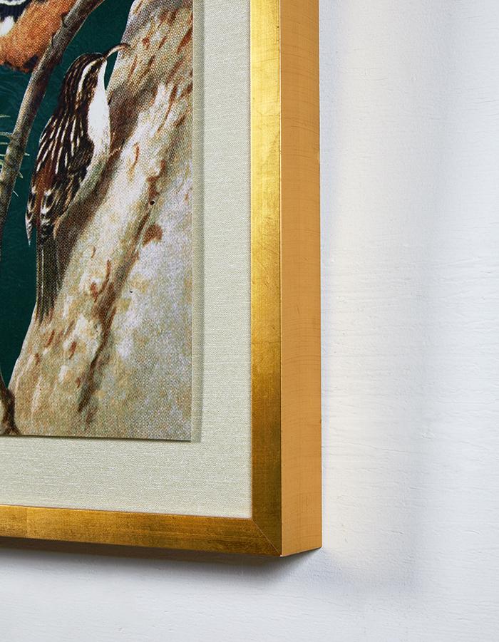 Artshoppe Woodland Birds 2 by Nathan Turner - Framed Wall Art | Art by Wallshoppe