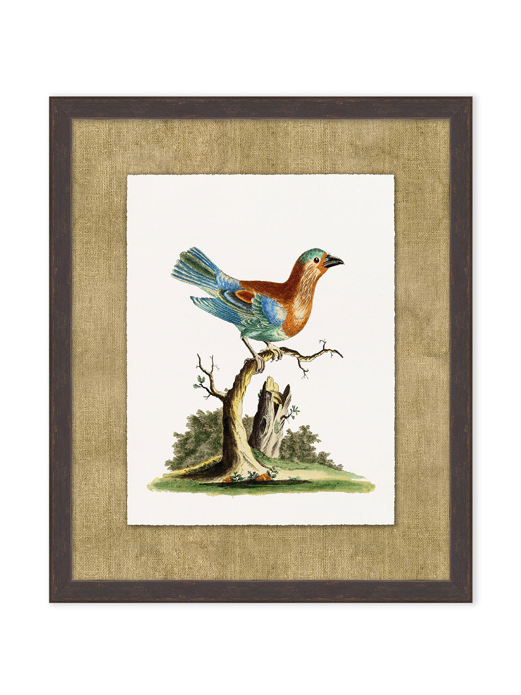 'Woodland Perch 1' by Nathan Turner Framed Art