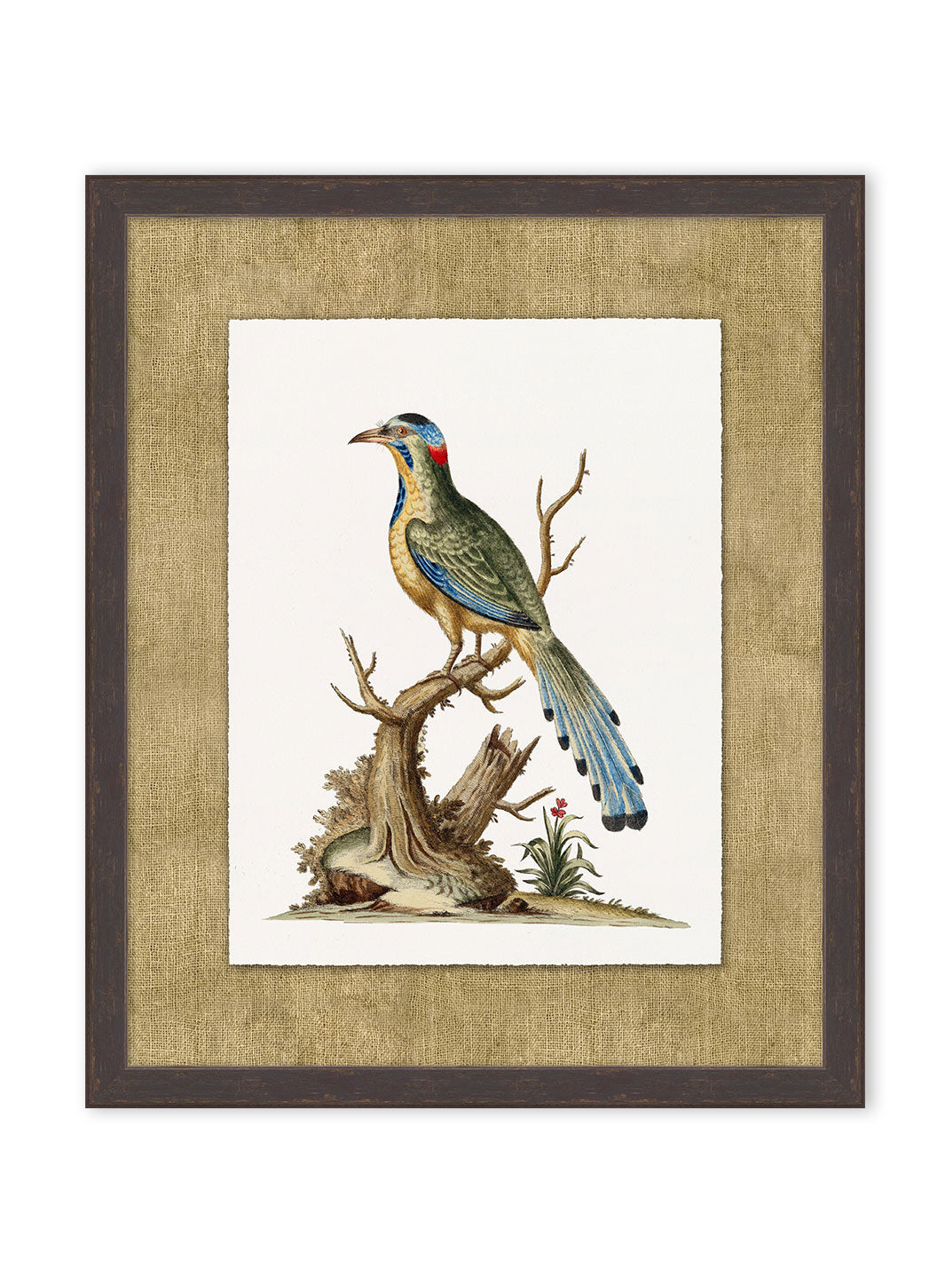 'Woodland Perch 3' by Nathan Turner Framed Art