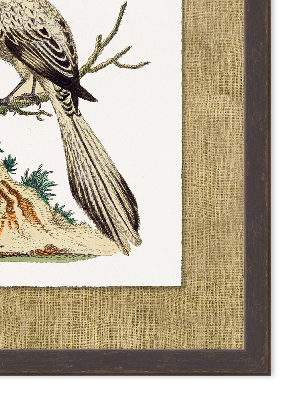 'Woodland Perch 4' by Nathan Turner Framed Art