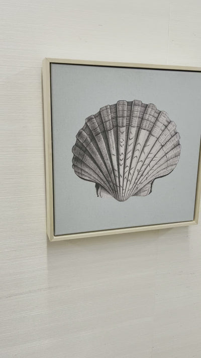 « Scallop Shell Blue » par Nathan Turner sur toile naturelle encadrée